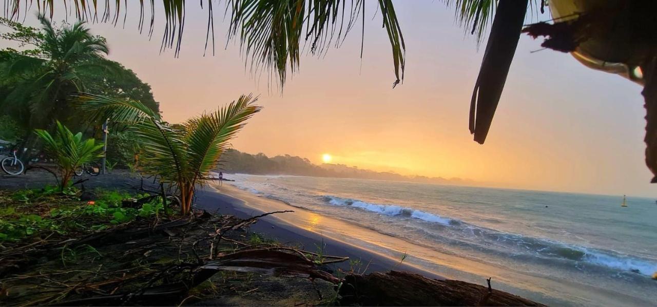 ホテル Mecca Puerto Viejo de Talamanca エクステリア 写真
