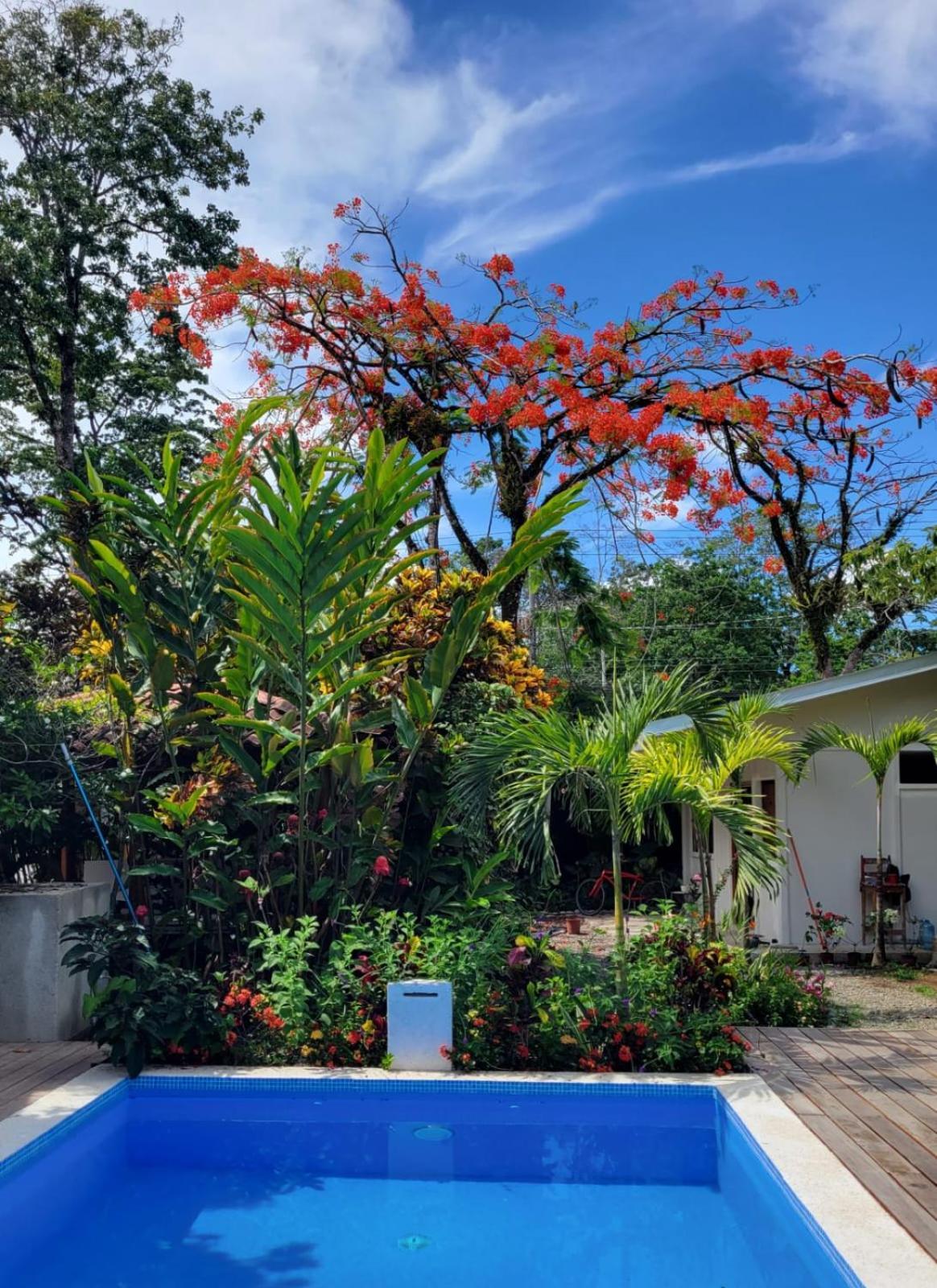 ホテル Mecca Puerto Viejo de Talamanca エクステリア 写真
